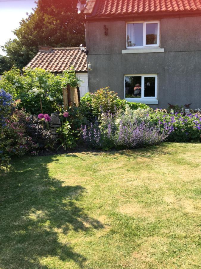 Oscar Park Farm Bed & Breakfast ยอร์ค ภายนอก รูปภาพ