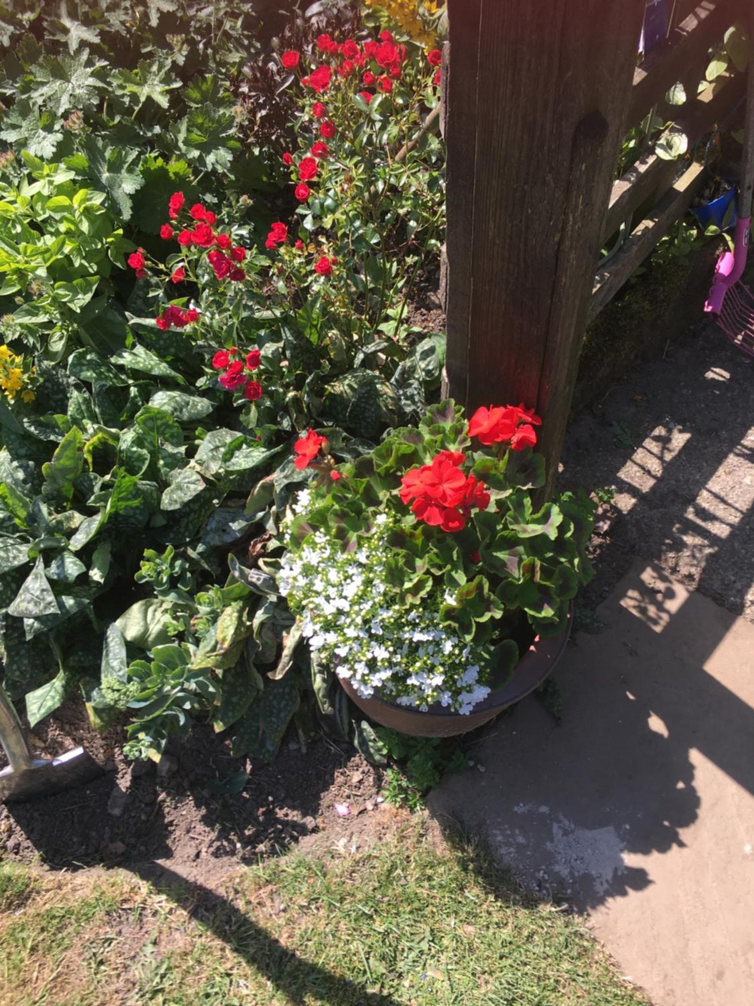 Oscar Park Farm Bed & Breakfast ยอร์ค ภายนอก รูปภาพ